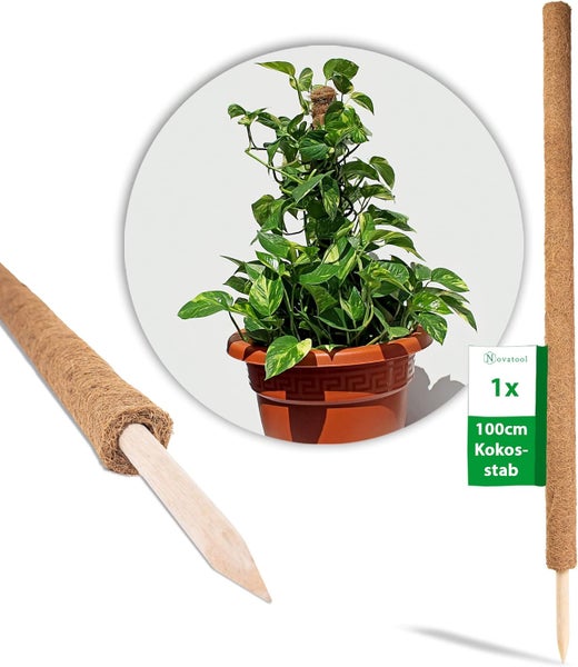 Novatool Kokosstab für Kletterpflanzen, 100 Zentimeter lang, aus Kokosfasern mit spitzem Holzende zur Befestigung im Blumentopf.
