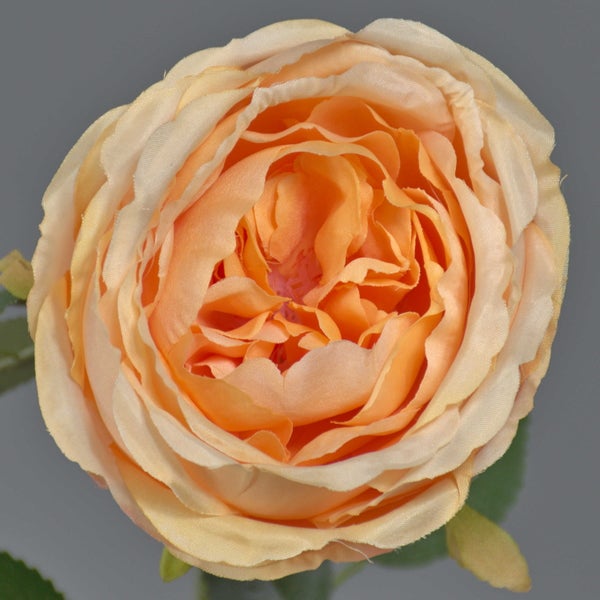 Künstliche Rosenblüte aus Textil in Apricot