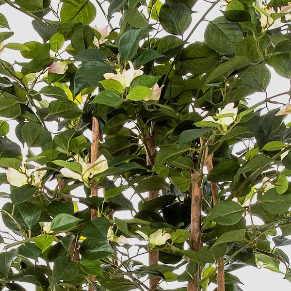 Künstliche Bougainvillea Detailansicht mit grünen Blättern und hellen Blüten