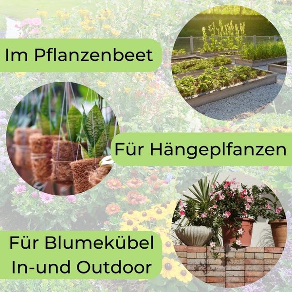 Verschiedene Anwendungsbeispiele für Pflanzen: im Pflanzenbeet, für Hängepflanzen, für Blumenkübel im Innen- und Außenbereich