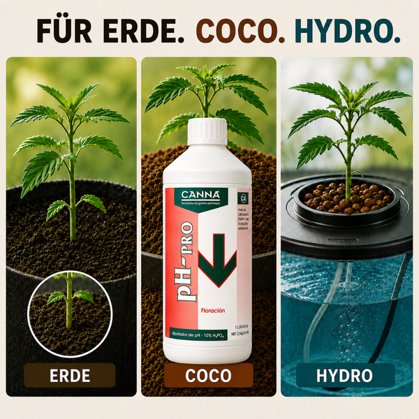 Canna PH-Pro pH-Wert Senker in einer Literflasche für Erde, Kokosfaser und Hydrokulturen zur optimalen Nährstoffaufnahme bei Pflanzen.