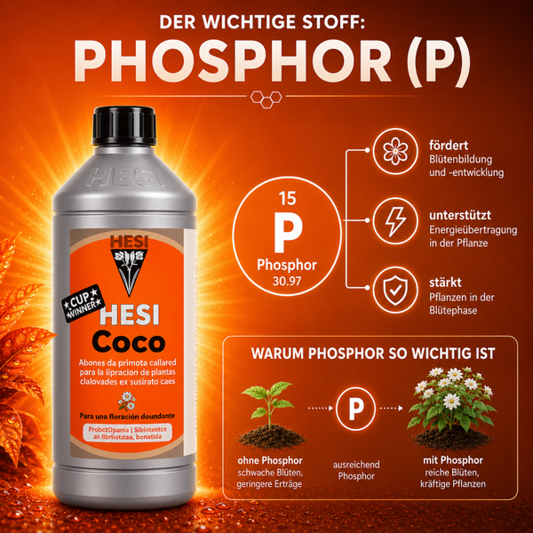 HESI Phosphor Plus Pflanzendünger Flasche mit Informationen zur Bedeutung von Phosphor für das Pflanzenwachstum und die Blütenbildung.