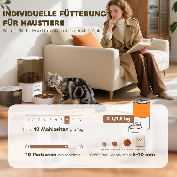 Szene mit automatischem Futterspender für Haustiere, Katze und lesender Person