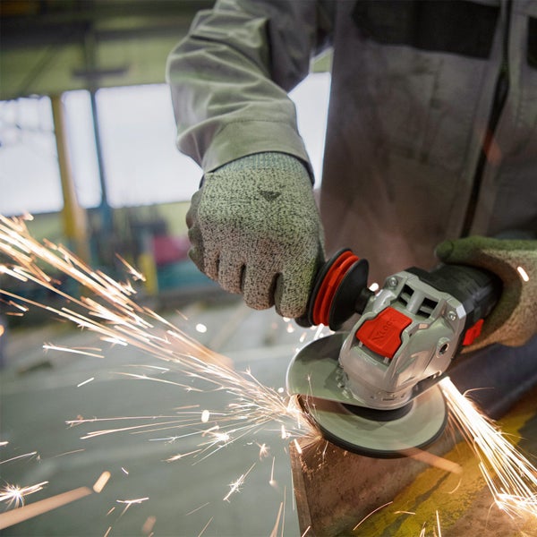 Bosch Logo. Schleifteller mit einem Durchmesser von 150 Millimetern.
