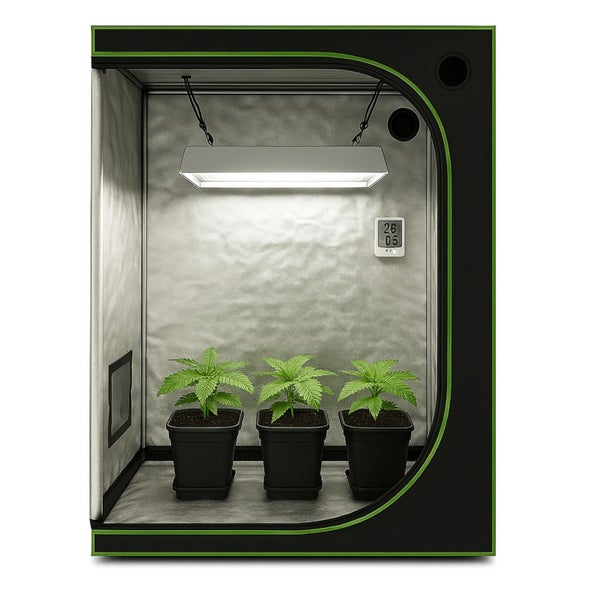 Growbox mit Pflanzen, Lampe und Thermometer für den Indoor-Gartenbau