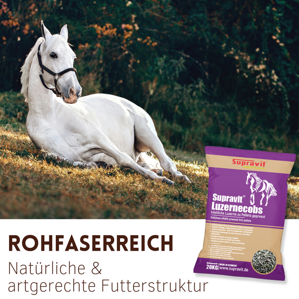 Ein weißes Pferd liegt auf einer Wiese neben einer 20 Kilogramm Packung Supravit Luzernecobs Pferdefutter.