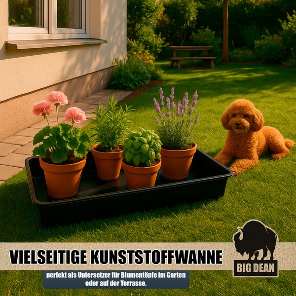 Eine rechteckige Kunststoffwanne für den Garten mit vier Blumentöpfen auf einer Rasenfläche neben einem kleinen Hund vor einem Haus.
