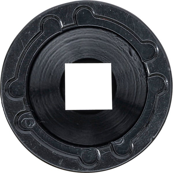 Zapfenschlüssel für Ventile