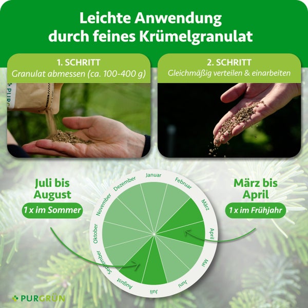 Anleitung für Krümelgranulat: circa 100 bis 400 Gramm abmessen und verteilen. Düngung im März bis April sowie Juli bis August. Purgrün Logo.