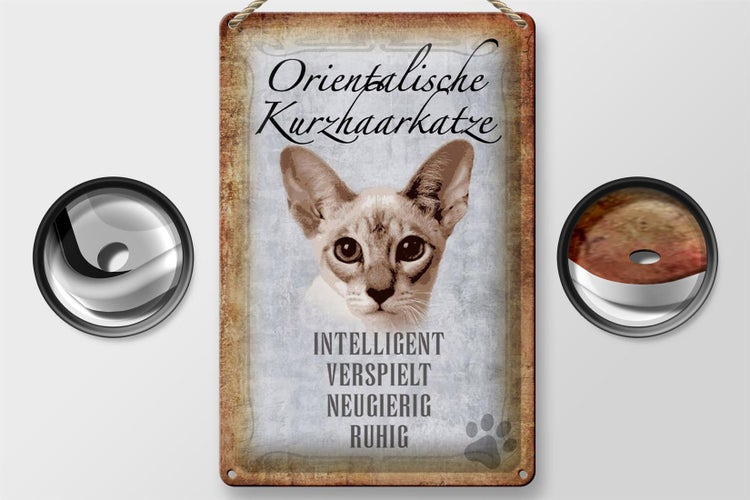 Blechschild Spruch 20x30cm orientalische Kurzhaarkatze