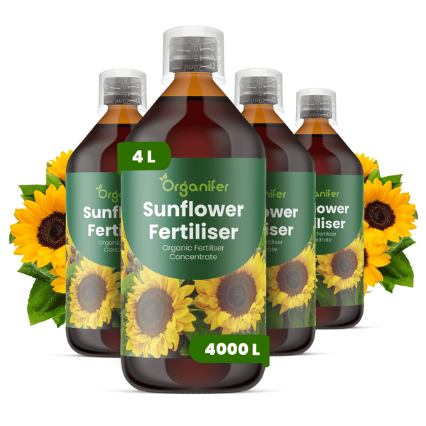 Organifer Logo, Sonnenblumendünger Konzentrat, 4 Liter, organischer Flüssigdünger in vier Flaschen mit Messkappe.