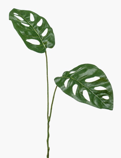 Nahaufnahme eines künstlichen grünen Blattes der Monstera adansonii mit charakteristischen ovalen Löchern.