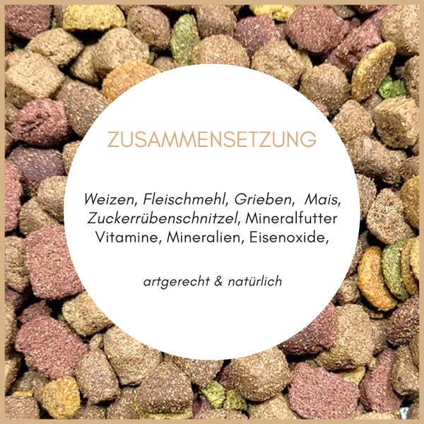 Nahaufnahme von Trockenfutter mit Textfeld zur Zusammensetzung wie Weizen, Fleischmehl, Mais, Mineralien, artgerecht und natürlich.