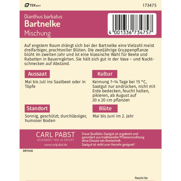 Bartnelke Mischung Samen von Pabst Keimkraft