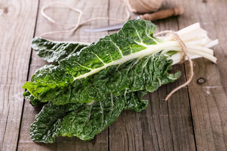SAFLAX Garden to go - BIO - Schweizer Mangold - Beta vulgaris subsp. vulgaris - 150 Samen - Mit Topf, Klima - Deckel und Anzuchtsubstrat