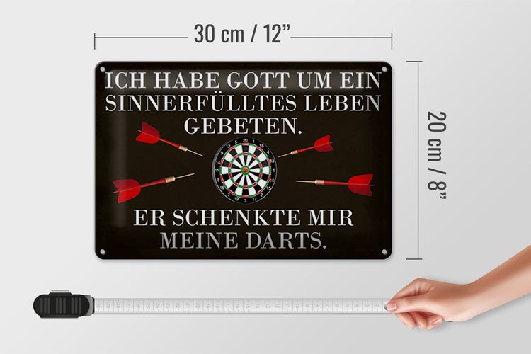 Blechschild Spruch 30x20cm Gott schenkte mir meine Darts
