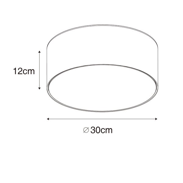 Technische Zeichnung einer zylinderförmigen Deckenleuchte mit einem Durchmesser von 30 Zentimetern und einer Höhe von 12 Zentimetern.