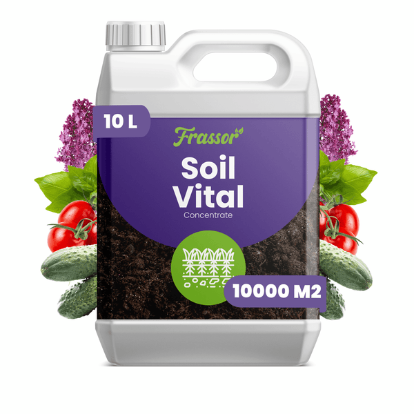 Frassor Soil Vital Bodenverbesserer Konzentrat 10 Liter Kanister für 10000 Quadratmeter zur Verbesserung der Bodenqualität