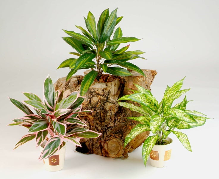 Künstliche Hängepflanze aus Kunststoff mit grünen Zweigen und kleinen Blättern.