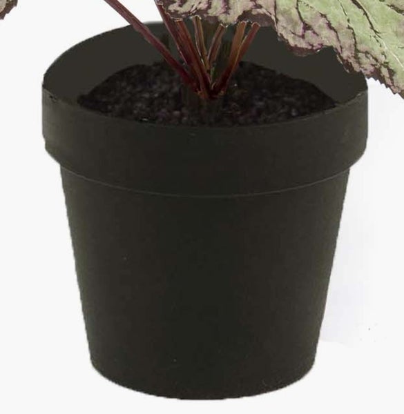 Schwarzer Kunststoff-Blumentopf mit Zimmerpflanze, Stängelansatz und Erde.