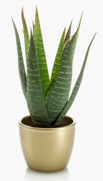 Künstliche Aloe Vera Pflanze in einem goldfarbenen Topf.