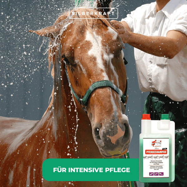 Schopf Pferdeshampoo Plus mit Fellglanz – Konzentriertes Shampoo für seidigen Glanz & gepflegtes Langhaar