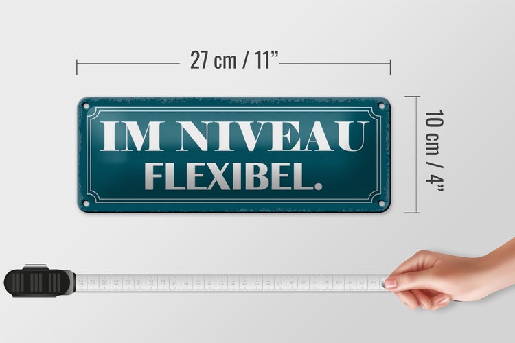 Blechschild Spruch 27x10cm im Niveau flexibel Dekoration
