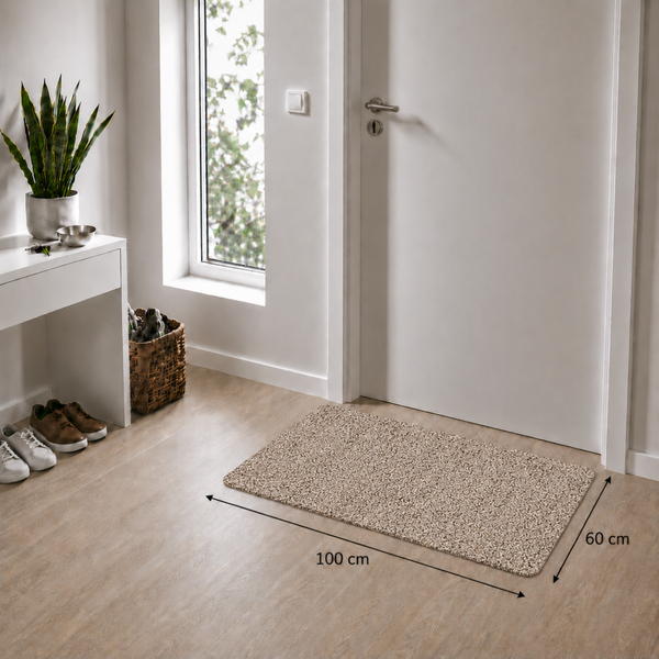 Rechteckige Schmutzfangmatte in einem hellen Eingangsbereich vor einer Tür. Maße: 100 cm mal 60 cm.