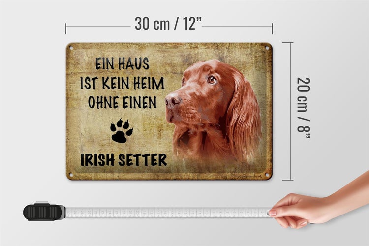 Blechschild Spruch 30x20cm Irish Setter Hund ohne kein Heim