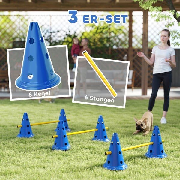 Agility-Set für Hunde mit sechs Kegeln und sechs Stangen, drei Hürden auf einer Rasenfläche aufgebaut.