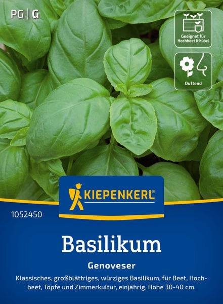 Saatgut Kiepenkerl Basilikum Genoveser, klassische großblättrige Sorte für Hochbeet, Kübel und Garten mit duftenden Blättern, einjährig.