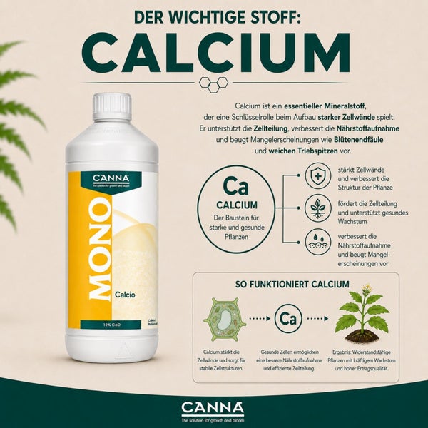 Canna Mono Calcium Pflanzendünger in der Flasche mit grafischer Erläuterung zur Wirkung auf Zellwände, Zellteilung und Nährstoffaufnahme bei Pflanzen.