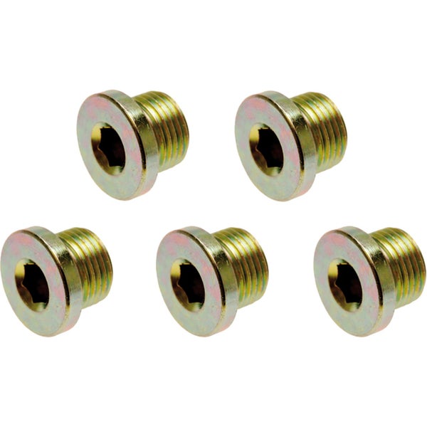 Fünf Gewindestopfen mit Innensechskant
