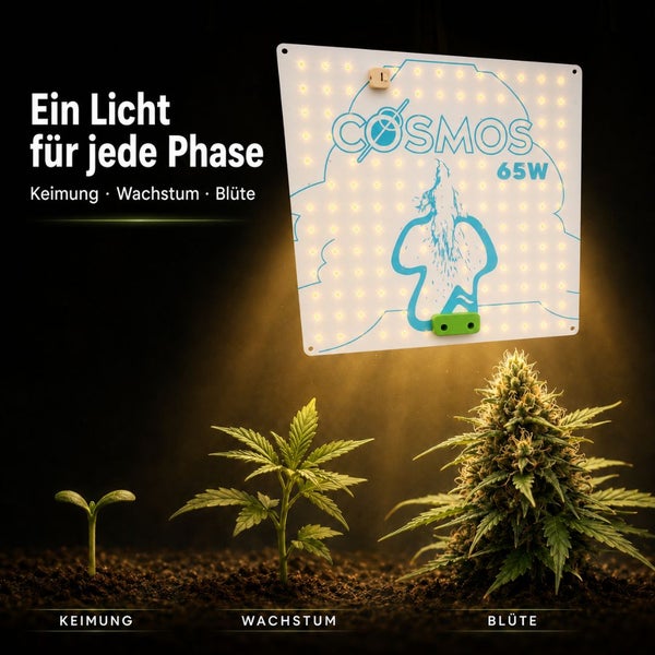 LED Pflanzenlampe COSMOS 65 Watt beleuchtet Pflanzen in den Phasen Keimung, Wachstum und Blüte.