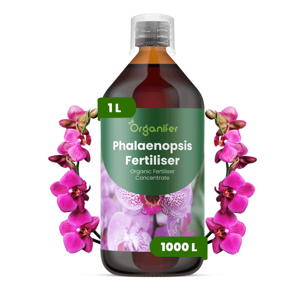 Organifer Phalaenopsis Dünger, organisches Düngerkonzentrat für Orchideen, 1 Liter Flasche mit Messkappe.