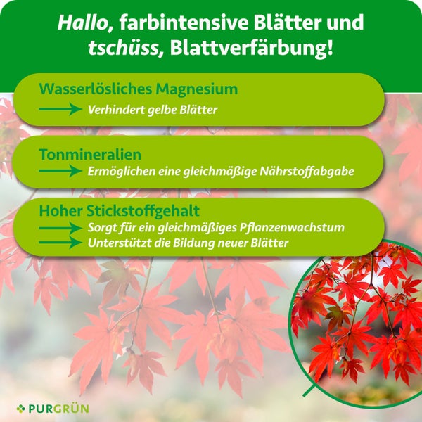 Infografik von Purgrün über Dünger mit Magnesium, Tonmineralien und Stickstoff für farbintensive Blätter und gesundes Wachstum. Purgrün Logo.