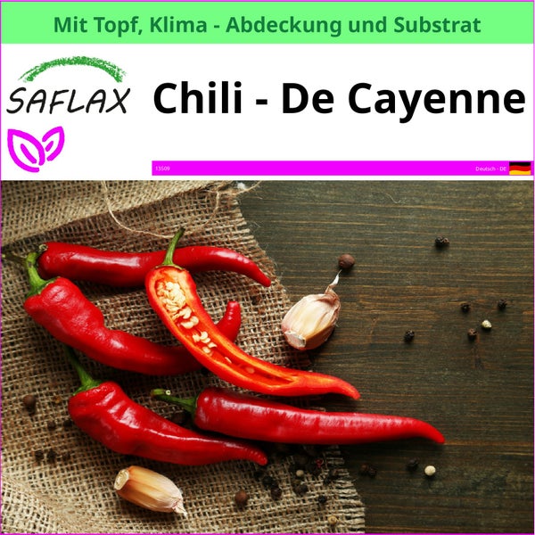 SAFLAX Garden to go - Chili - De Cayenne - Capsicum annum - 20 Samen - Mit Topf, Klima - Deckel und Anzuchtsubstrat