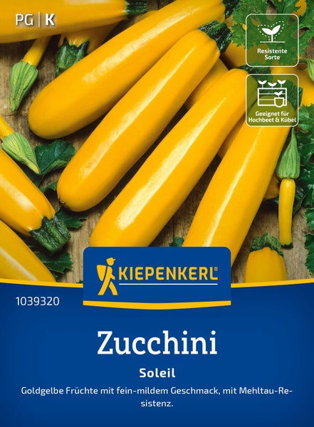Kiepenkerl Saatgut Zucchini Soleil, resistente Sorte für Hochbeet und Kübel, goldgelbe Früchte mit mildem Geschmack.