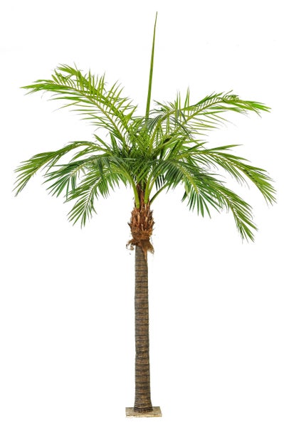 Künstliche Palme mit strukturiertem Stamm und grünen Palmwedeln auf quadratischem Sockel.