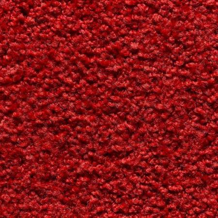 Trockenlaufmatte Twister 80x120cm rot