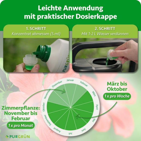 Anleitung zur Anwendung von Purgruen Pflanzenduenger Konzentrat mit Dosierkappe und jahreszeitlichem Düngeplan für Zimmerpflanzen.