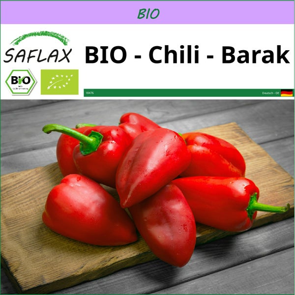 SAFLAX  - BIO - Chili - Barak - Capsicum annuum - 15 Samen