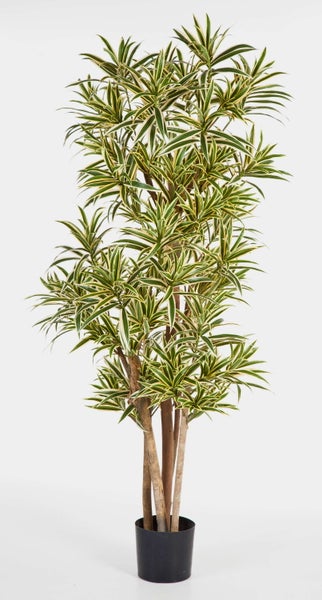 Künstlicher Drachenbaum Dracaena reflexa mit gelb-grün gestreiften Blättern im schwarzen Topf.