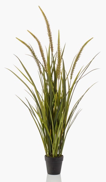 Künstliches Lampenputzergras mit grünen Halmen und bräunlichen Blütenähren.