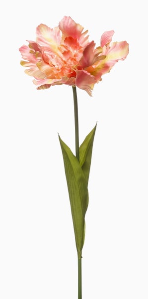 Künstliche Papageientulpe in Rosa und Orange mit gefransten Blütenblättern, grünem Stiel und Blättern.
