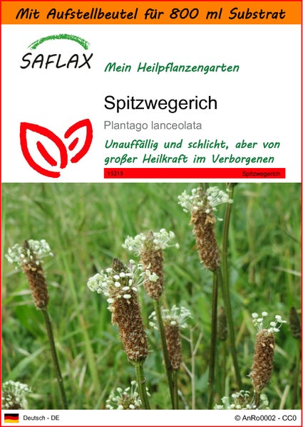 SAFLAX Garden in the bag - Spitzwegerich - Plantago lanceolata - 100 Samen - Mit Anzuchtsubstrat im praktischen, selbst aufstellenden Beutel