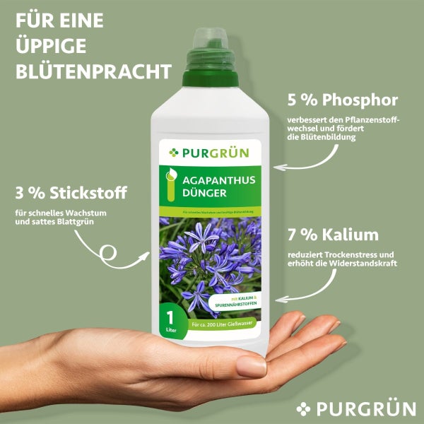 Purgrün Agapanthus-Dünger 1 Liter
