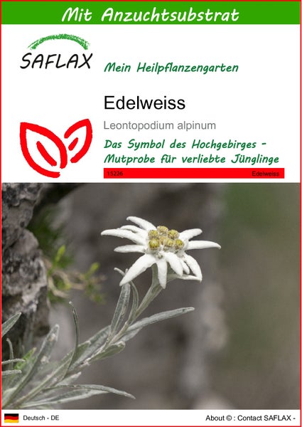 SAFLAX  - Edelweiss - Leontopodium alpinum - 500 Samen - Mit keimfreiem Anzuchtsubstrat
