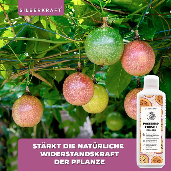 SILBERKRAFT Passionsfrucht Dünger – Für Maracuja & Passionsblume – 1 Liter