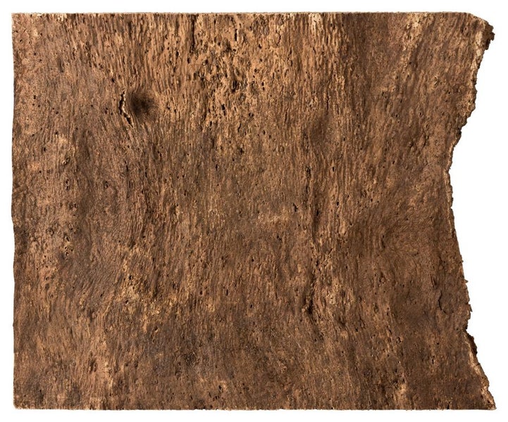 Wandfliese aus Naturkork mit einer groben, natürlichen Rindenstruktur.